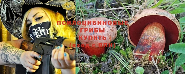 МДПВ Новодвинск