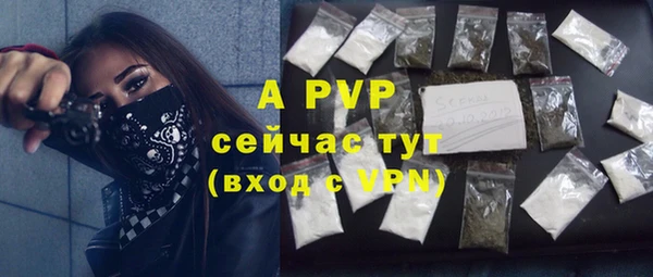 МДПВ Новодвинск