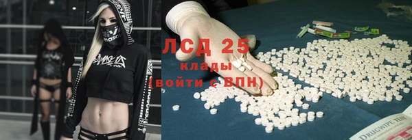 прущие крисы Новозыбков
