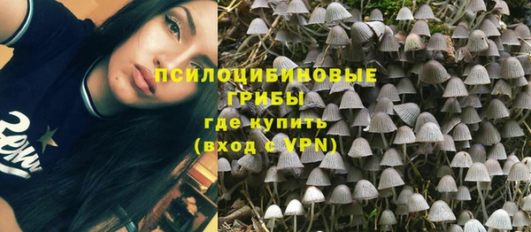 МДПВ Новодвинск