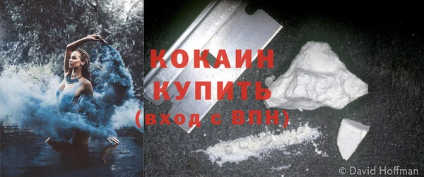 прущие крисы Новозыбков