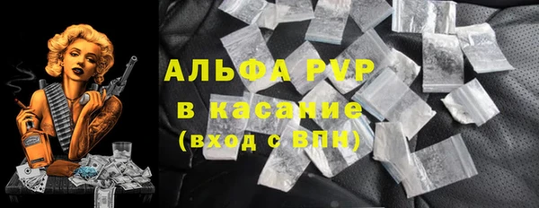 прущие крисы Новозыбков