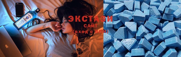 прущие крисы Новозыбков