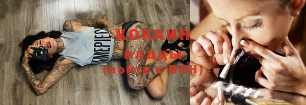 прущие крисы Новозыбков