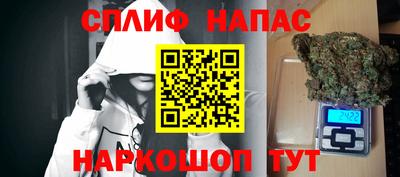 ГАЛЛЮЦИНОГЕННЫЕ ГРИБЫ Балахна