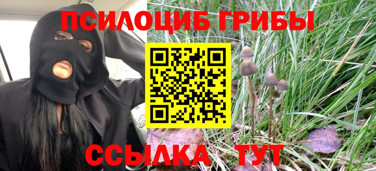 Псилоцибиновые грибы мицелий Краснокамск