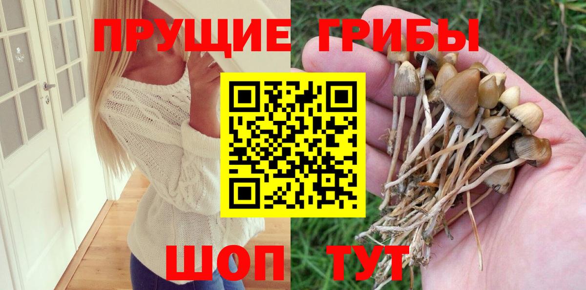 Псилоцибиновые грибы Magic Shrooms Краснокамск